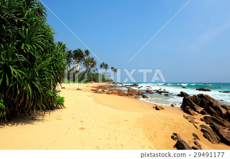 Tropical beach 29491177