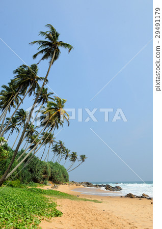 Tropical beach Tropical beach 29491179