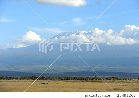 Snow on top of Mount Kilimanjaro Snow on top of Mount Kilimanjaro 29491263