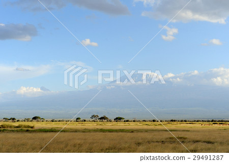 Snow on top of Mount Kilimanjaro 29491287