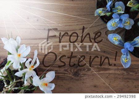 Sunny Hyacinth, Frohe Ostern Means Happy Easter 29492398