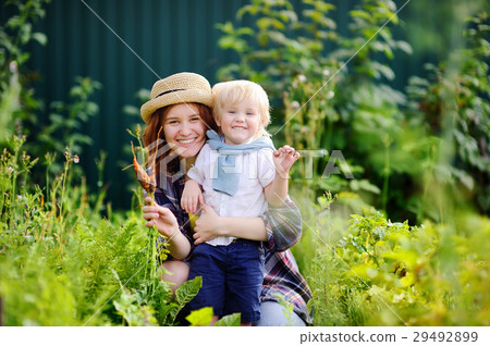 Beautiful young woman and her adorable little son enjoying harvest 29492899