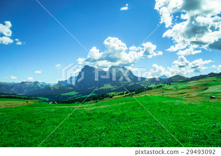 View on dolomites mountains by Seiser Alp 29493092