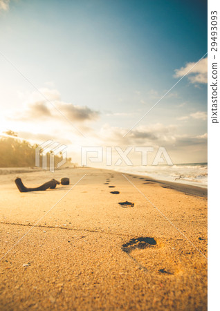 footprints in the sand at the beach footprints in the sand at the beach 29493093