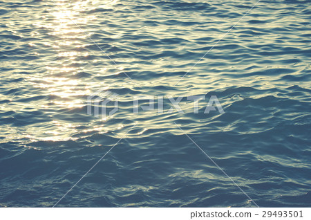 Sea surface 29493501