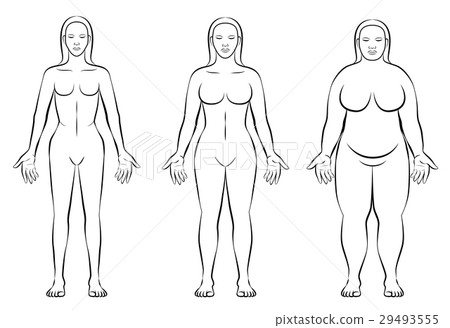 FemaleBodyConstitutionTypesThinFatNormalWeight FemaleBodyConstitutionTypesThinFatNormalWeight 29493555