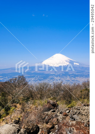 金山山峰 金山山峰 29495042