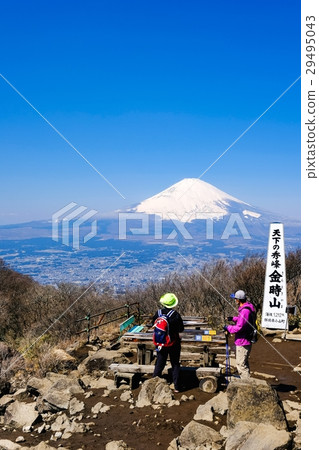 金山山峰 金山山峰 29495043