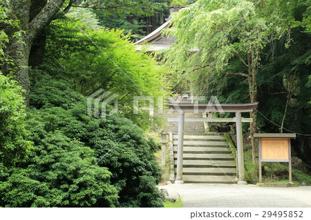 歷史遺址Omine Oku-no-michi 29495852