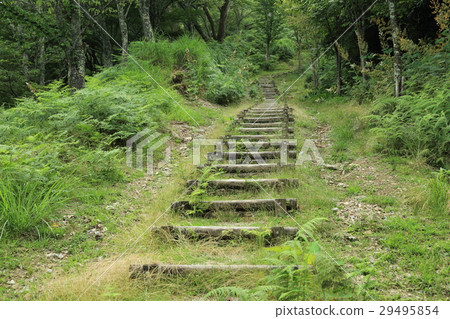 歷史遺址Omine Oku-no-michi 29495854