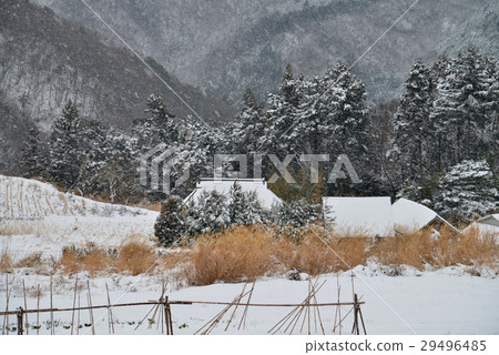Snow falling mountain village (Mangan-machi, Kagawa prefecture) Snow falling mountain village (Mangan-machi, Kagawa prefecture) 29496485