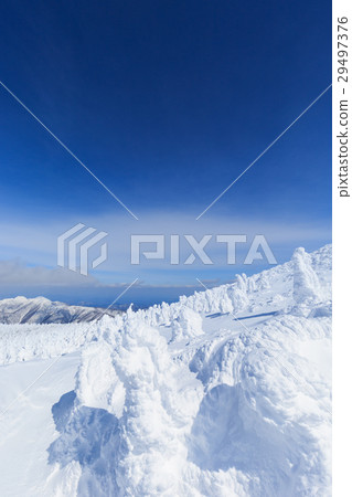 山形棗_陽光燦爛的樹木 山形棗_陽光燦爛的樹木 29497376