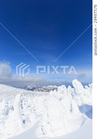 Yamagata Zao _ sunny shining trees Yamagata Zao _ sunny shining trees 29497576