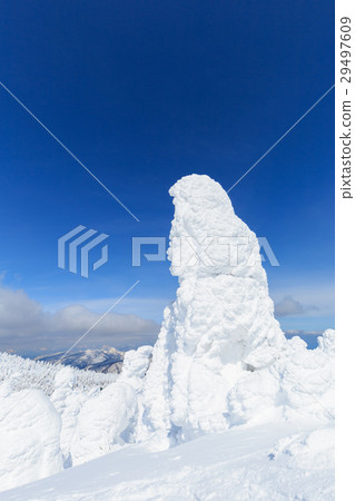 山形棗_陽光燦爛的樹木 山形棗_陽光燦爛的樹木 29497609