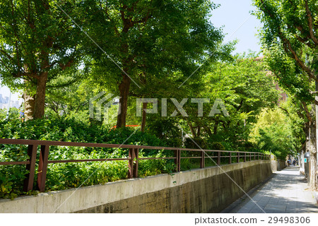 中央大廳公園 中央大廳公園 29498306