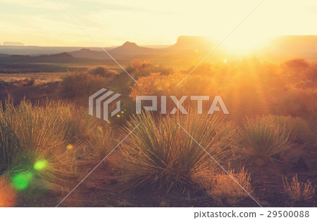 Valley of the Gods 29500088