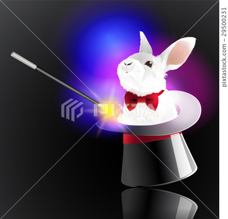 magic hat with rabbit 29500231