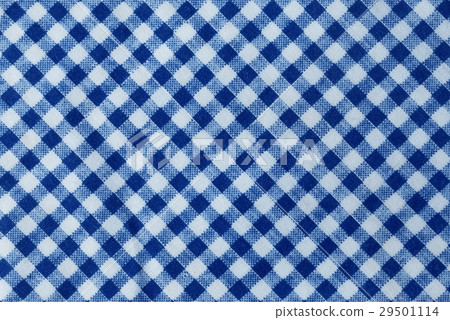 Blue and White Lumberjack Plaid Seamless Pattern Blue and White Lumberjack Plaid Seamless Pattern 29501114