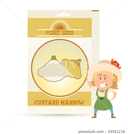 Pack of Custard marrow seeds 29501216