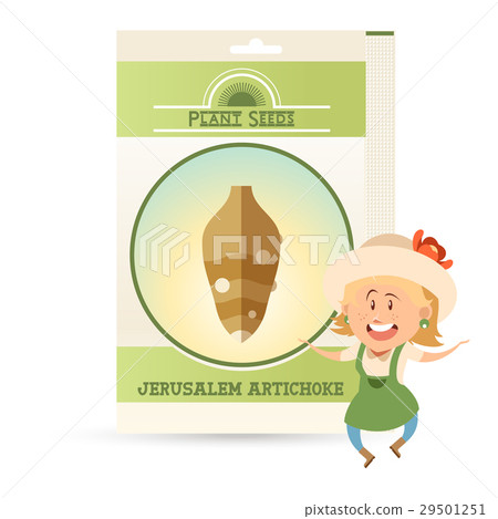 Pack of Jerusalem Artichoke seeds icon 29501251