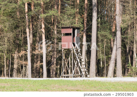 High seat for hunting beside the forrest High seat for hunting beside the forrest 29501903