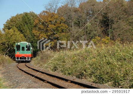 Moka Gyobutsu沿著山脈奔跑 Moka Gyobutsu沿著山脈奔跑 29501917