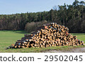 Freshly cut tree logs piled up near the road  29502045