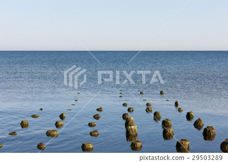 The remains of a wooden pier in the Baltic Sea The remains of a wooden pier in the Baltic Sea 29503289