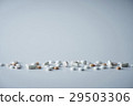 Tablet 29503306