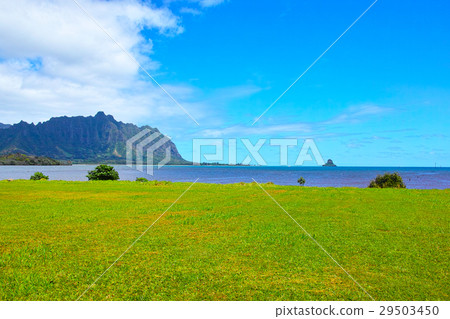 Landscape on the east coast of Hawaii 29503450