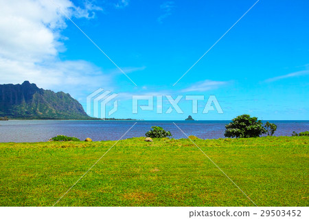 在夏威夷的東海岸的風景 在夏威夷的東海岸的風景 29503452