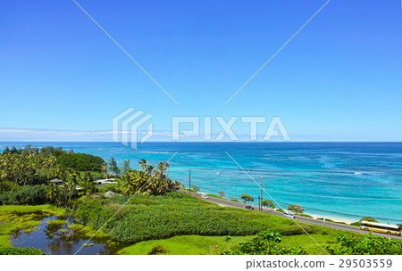 在夏威夷的東海岸的風景 29503559
