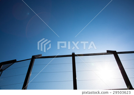 Baseball · backnet Baseball · backnet 29503623