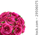 Bouquet of Roses Flowers Festive Congratulation 29506075
