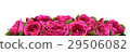 Roses Flowers Festive Border Congratulation 29506082