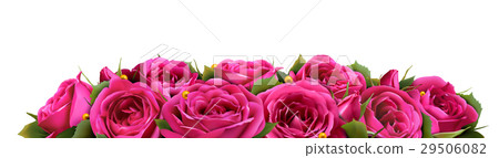 Roses Flowers Festive Border Congratulation 29506082