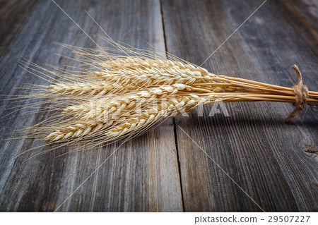 Sheaf of wheat ears on the wooden. Sheaf of wheat ears on the wooden. 29507227