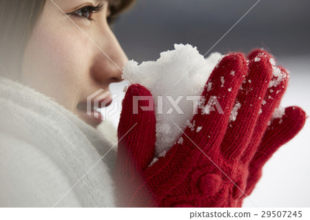 女雪 29507245