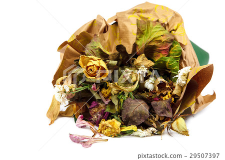 Dry bouquet of flowers on white background. 29507397