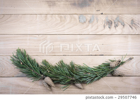 The composition of pine branches and cones on oak The composition of pine branches and cones on oak 29507746