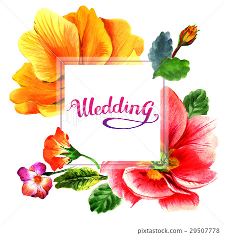 Wildflower Primrose flower frame in a watercolor 29507778