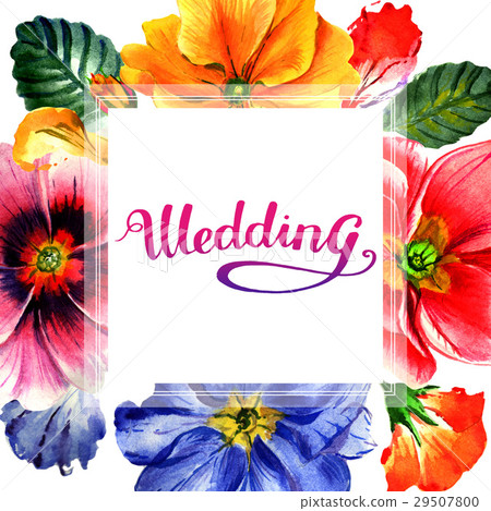 Wildflower Primrose flower frame in a watercolor Wildflower Primrose flower frame in a watercolor 29507800