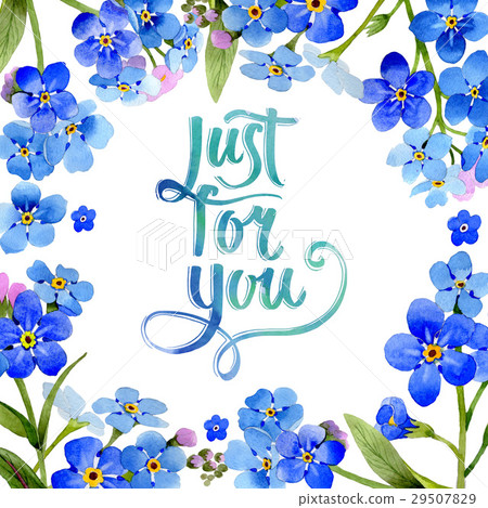 Wildflower myosotis arvensis flower frame in a 29507829