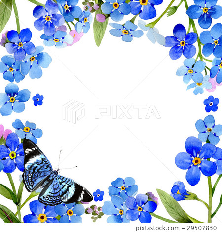 Wildflower myosotis arvensis flower frame in a 29507830