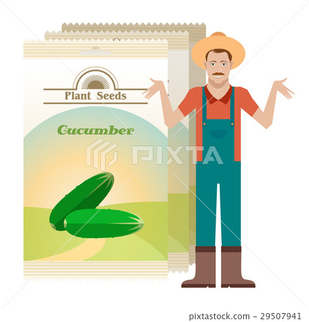 Pack of Cucumber seeds icon 29507941