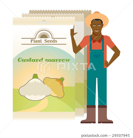 Pack of Custard marrow seeds 29507945