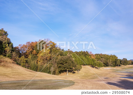 Golf Course Play Image Golf course Golf Course Play Image Golf course 29508074