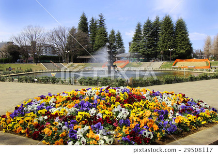 世田谷公園噴泉 世田谷公園噴泉 29508117