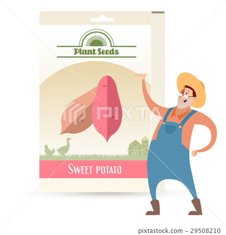 Pack of Sweet potato seeds Pack of Sweet potato seeds 29508210