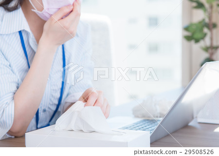 Business woman Business woman 29508526